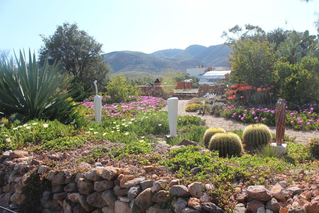 El Jardin De Los Suenos Rodalquilar Bagian luar foto
