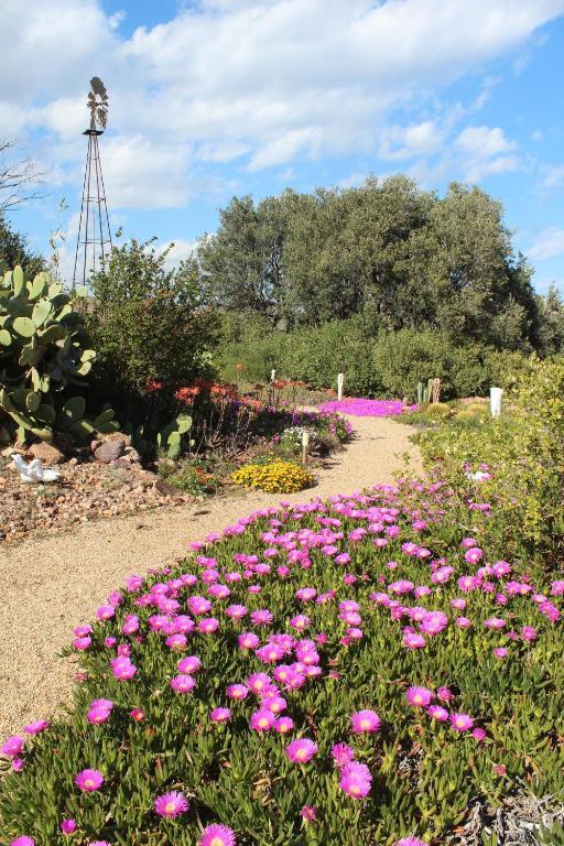 El Jardin De Los Suenos Rodalquilar Bagian luar foto